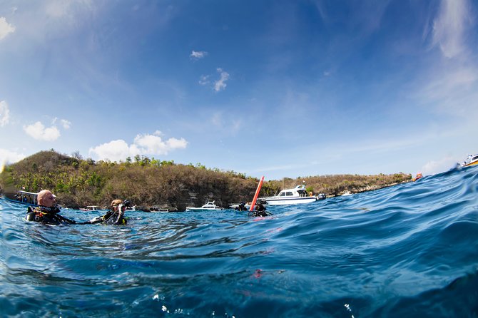 Fun Dive Nusa Penida Bali - For Certified Divers - Manta Point: the big wildlife possibility