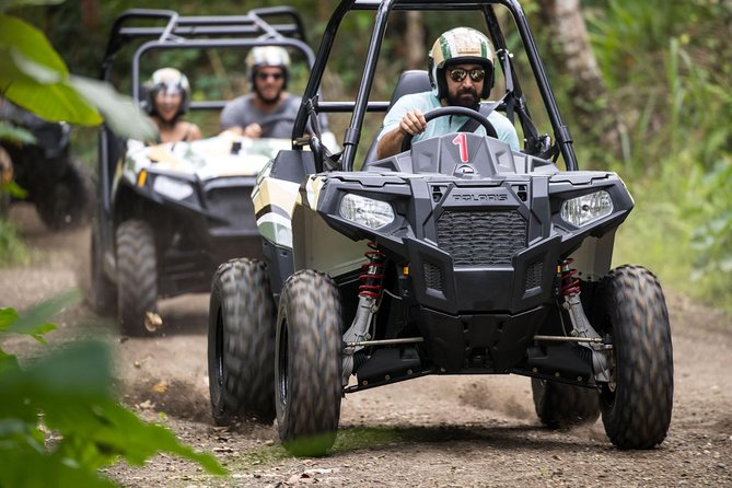 Half Day Jungle Buggies in Bali with Guide - Why the buggy format works well