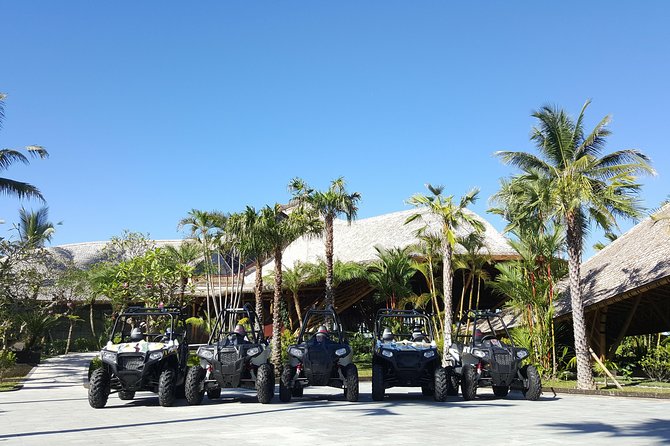 Half Day Jungle Buggies in Bali with Guide - The Mason Gourmet Chocolate Factory Showroom