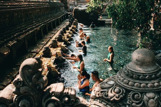 Half Day Private Tour in Ubud - Tegalalang Rice Terrace: famous views with optional extras
