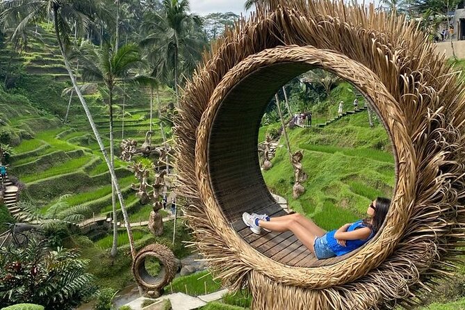Half Day Private Tour in Ubud - Art villages and extra stops depend on the clock