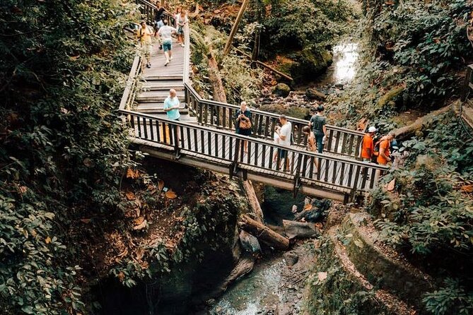 Half Day Private Tour in Ubud - What the $57 price really covers