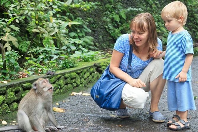 Half Day Private Tour in Ubud - Monkey Forest: two hours among temples and macaques