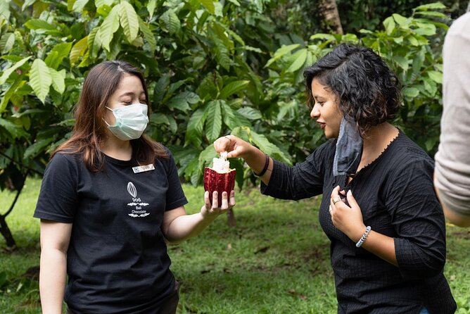 Half-Day Private Tour to Tanah Lot and Bali Royal Temple - Timing, clothing, and what to bring