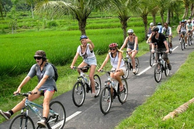 Halo Bike Cycling Tour Downhill - A downhill route through rural Bali