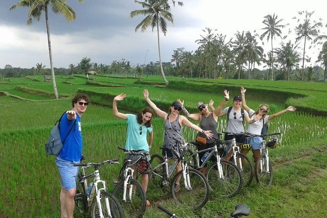 Halo Bike Cycling Tour Downhill - Seeing Bali through rice fields and village lanes