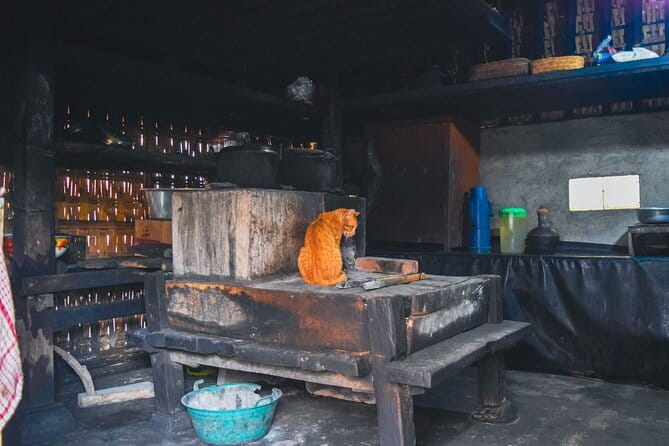 Highlight of Bali Tour - Sri Batu plantation and the Luwak coffee question