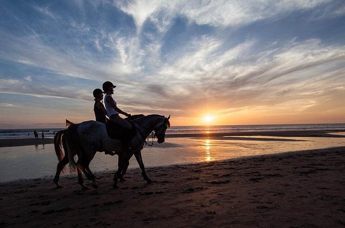 Horse Riding on the Black Sand Beach and Free Hotel Transfers - The guide’s role, from saddle help to photos