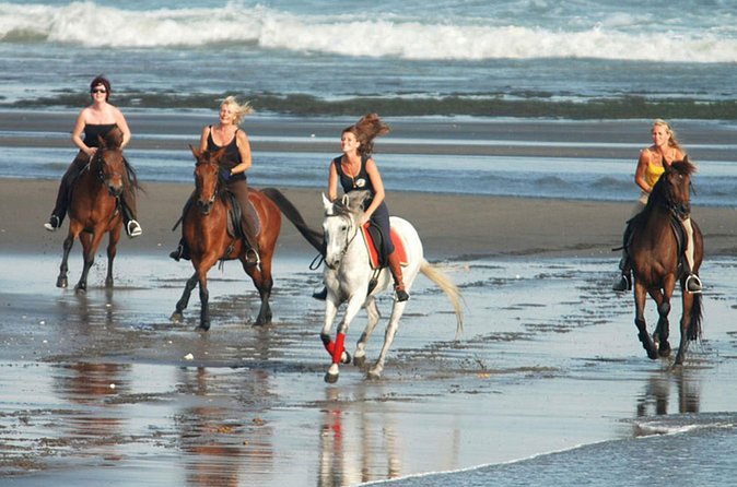 Horse Riding on the Black Sand Beach and Free Hotel Transfers - Choosing the right departure time