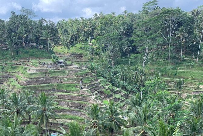 Individual Bali Day Trip with Private Driver and Free WiFi - North and East Bali require an early alarm