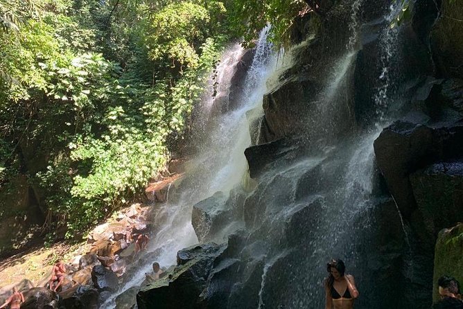 Individual Bali Day Trip with Private Driver and Free WiFi - What the driver adds, and where the service can vary
