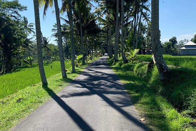 Individual Bali Day Trip with Private Driver and Free WiFi - The real cost is time, not just money