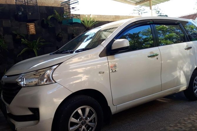 Individual Bali Day Trip with Private Driver and Free WiFi - Practical details for a smoother day