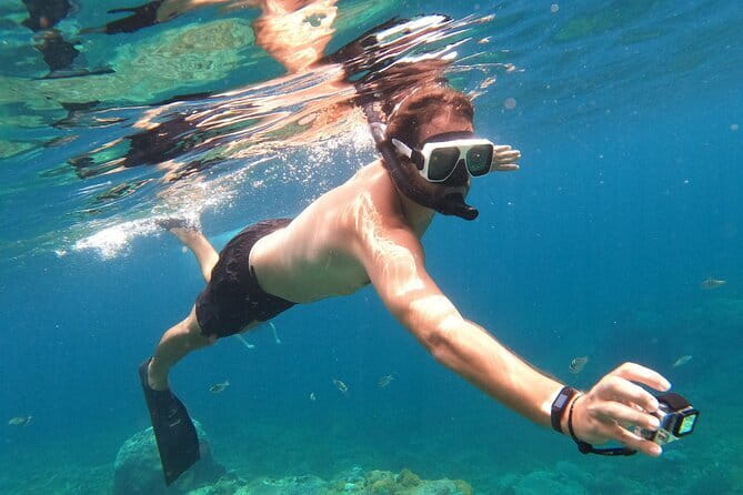 Komodo Island Adventure from Bali (Day Trip) - What the $795 price really covers