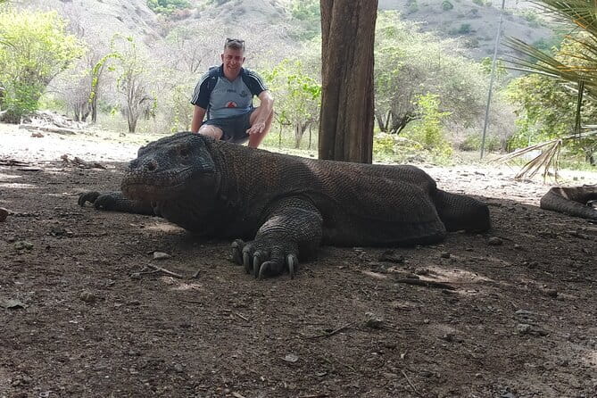Komodo Island Adventure from Bali (Day Trip) - The boat, weather, and the real-world risks