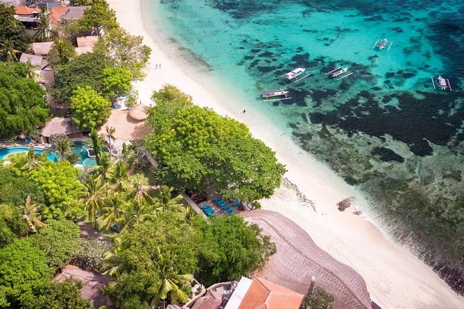 Komodo Island Adventure from Bali (Day Trip) - Who should book this experience