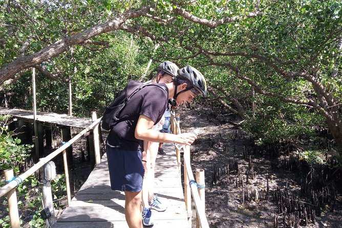 Kuta Beach eBike Private Tour - Visiting Kuta’s sea temple