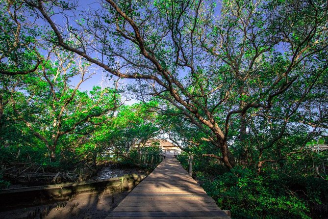 Kuta Beach eBike Private Tour - Hotel transfers and the three-hour schedule