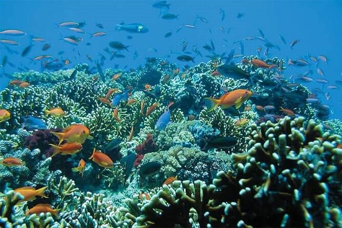 Lempuyang Gate of Heaven and City Tour - Blue Lagoon Beach for swimming and optional snorkeling