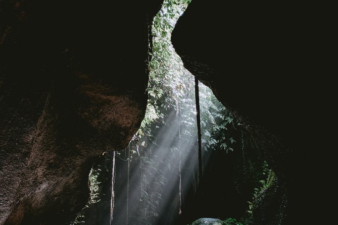 Lempuyang Gates of Heaven, Tirta Gangga Temple Swim & Jungle Waterfalls - Who will enjoy this Bali tour most