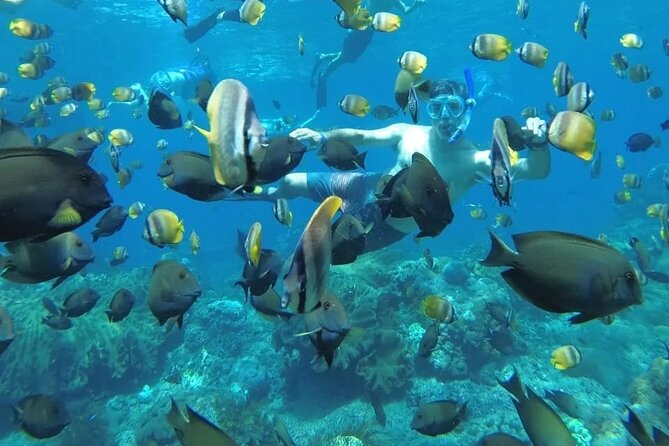 Manta Bay Snorkeling Adventure with Kelingking Beach Nusa Penida All Inclusive - Key points to know before booking