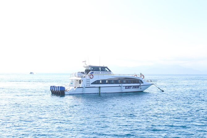 Manta Bay Snorkeling Adventure with Kelingking Beach Nusa Penida All Inclusive - Guides, photographs, and personal service