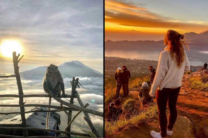 Mount Batur Sunrise Trekking With Guide & Breakfast - The coffee plantation stop around 11:30 AM
