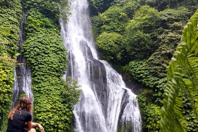 North Bali Hidden Gems Tour Ulun Danu Temple Twin Lakes Waterfall - Why this North Bali route works
