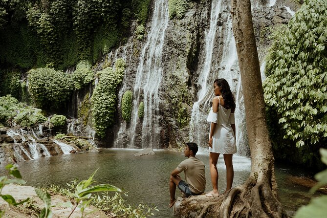 North Bali Hidden Gems Tour Ulun Danu Temple Twin Lakes Waterfall - What the guide adds to the day