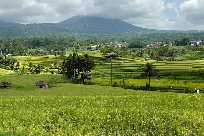 North Bali Nature Escape Rice Terraces, Temples & Waterfall - Food, cash, and what to carry