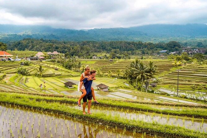 Northern Bali Tour - Private Full Day Tour - All Inclusive - Coffee country and the road to Bedugul