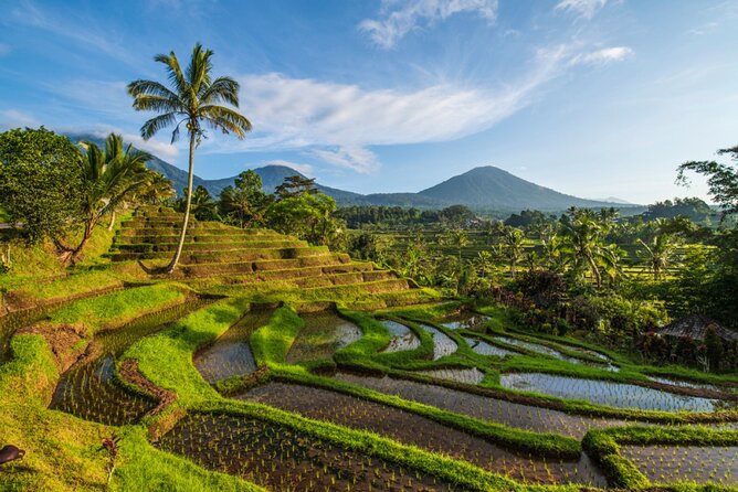 Northern Bali Tour - Private Full Day Tour - All Inclusive - Taman Ayun, a royal temple surrounded by water
