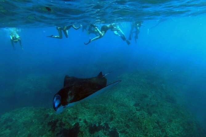 Nusa Penida 4 Spot Snorkeling with Manta and Island Tour - A very full day from Kuta to Nusa Penida