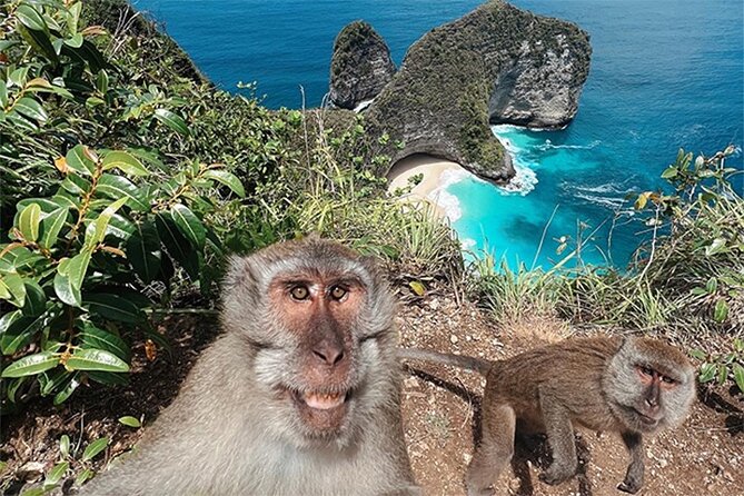 Nusa Penida day trip: boat, 4 snorkeling, Manta rays & Land tour - SD Point and coral gardens near Penida
