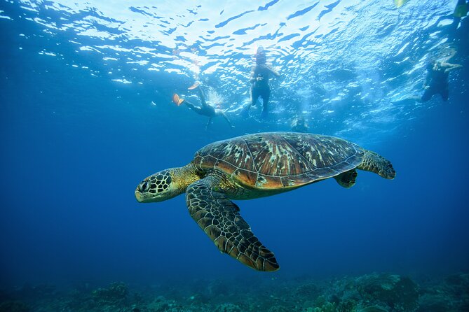 Nusa Penida day trip: boat, 4 snorkeling, Manta rays & Land tour - Wall Bay and the final marine-life search
