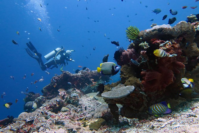 Nusa Penida Day Trip for 3 dives - Equipment, Nitrox, and the real cost of $190