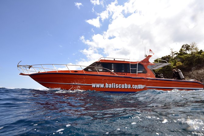 Nusa Penida Day Trip for 3 dives - Three sessions around Penida’s reefs
