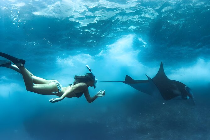 Nusa Penida Island Beach Tours with Snorkeling From Bali - Why this Penida day works best as an organized trip