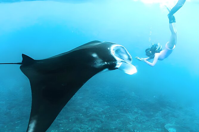 Nusa Penida Island Beach Tours with Snorkeling From Bali - Gamat Bay: a quieter first look underwater