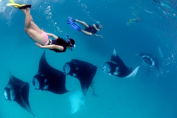 Nusa Penida Snorkeling Adventure (Private & All-Inclusive) - The 6 a.m. pickup and crossing from Sanur