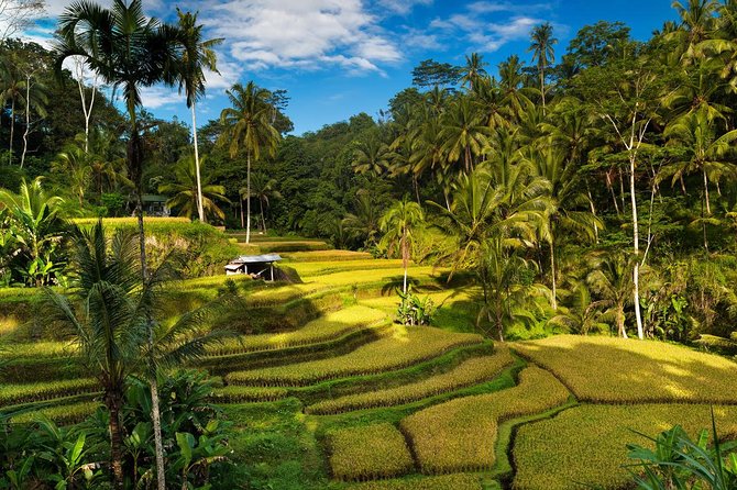 Private 4-Day Tours - Best Bali Tours Package - Best of Bali Highlights - Day Four: Nusa Dua water time, Uluwatu, and Jimbaran sunset