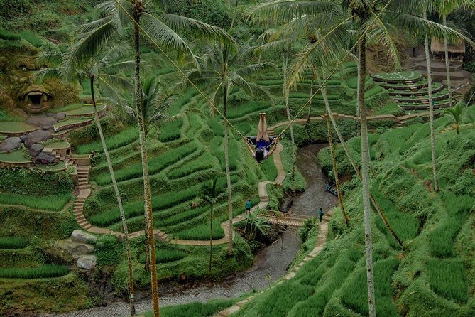Private 4-Day Tours - Best Bali Tours Package - Best of Bali Highlights - Should you book this Bali package?