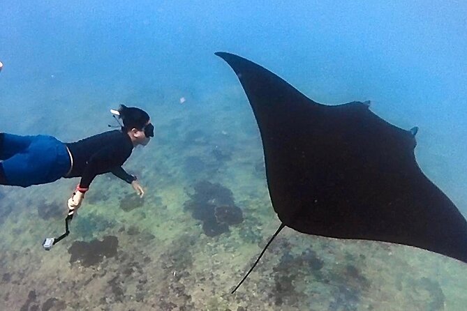 Private All Inclusive Nusa Penida Snorkeling and Tour - Why Manta Point makes this Nusa Penida day special