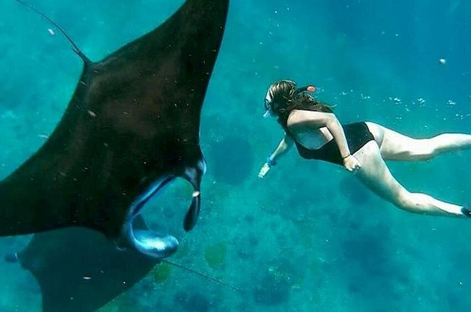 Private All Inclusive Nusa Penida Snorkeling and Tour - Crystal Bay, Angel’s Billabong, and an itinerary detail to clarify