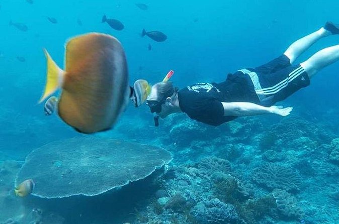 Private All Inclusive Nusa Penida Snorkeling and Tour - Kelingking Beach and the famous T-Rex view