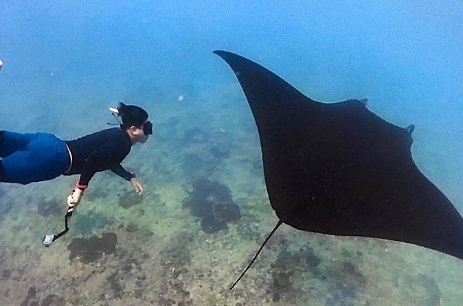 Private All Inclusive Nusa Penida Snorkeling and Tour - Who should book this 10-hour outing
