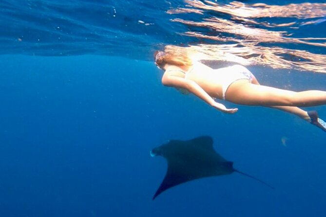 Private All Inclusive Nusa Penida Snorkeling and Tour - From Kuta to Sanur Harbour at 6:00 am