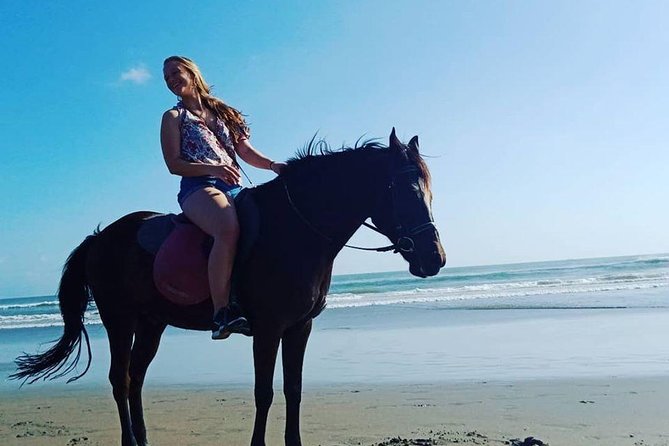 Private Bali Horse riding at saba beach - Horse condition deserves your attention