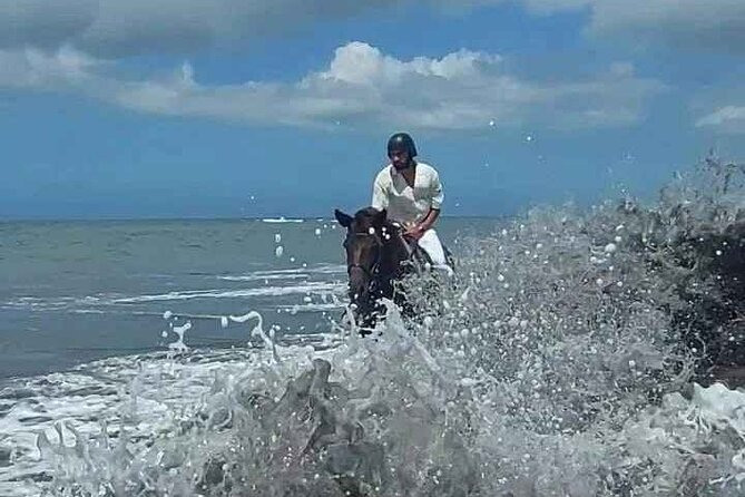 Private Bali Horse riding at saba beach - Who will enjoy this beach ride most