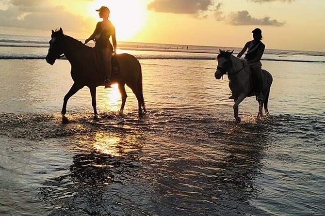 Private Bali Horse riding at saba beach - Practical details that affect your decision